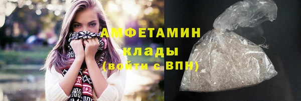 сатива Бородино