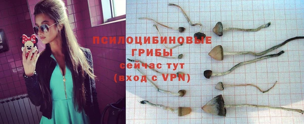 героин Верея